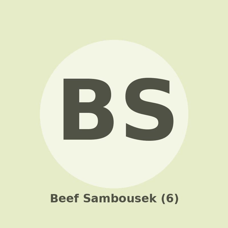 Beef Sambousek (6)