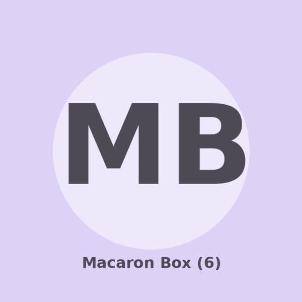 Macaron Box (6)