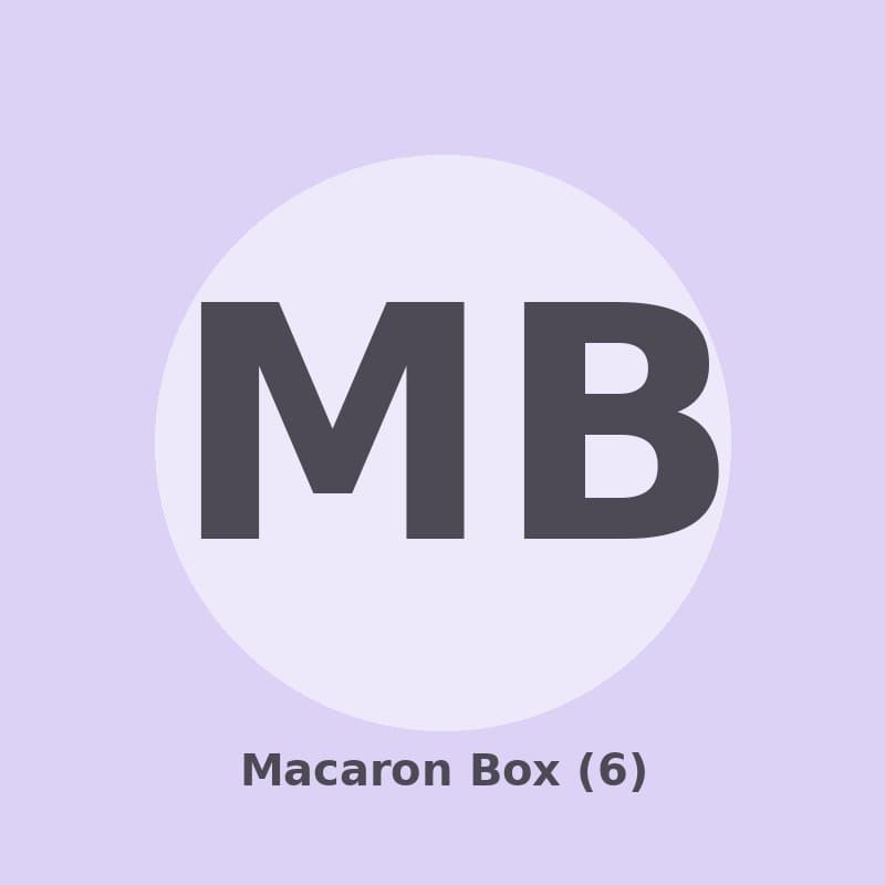 Macaron Box (6)